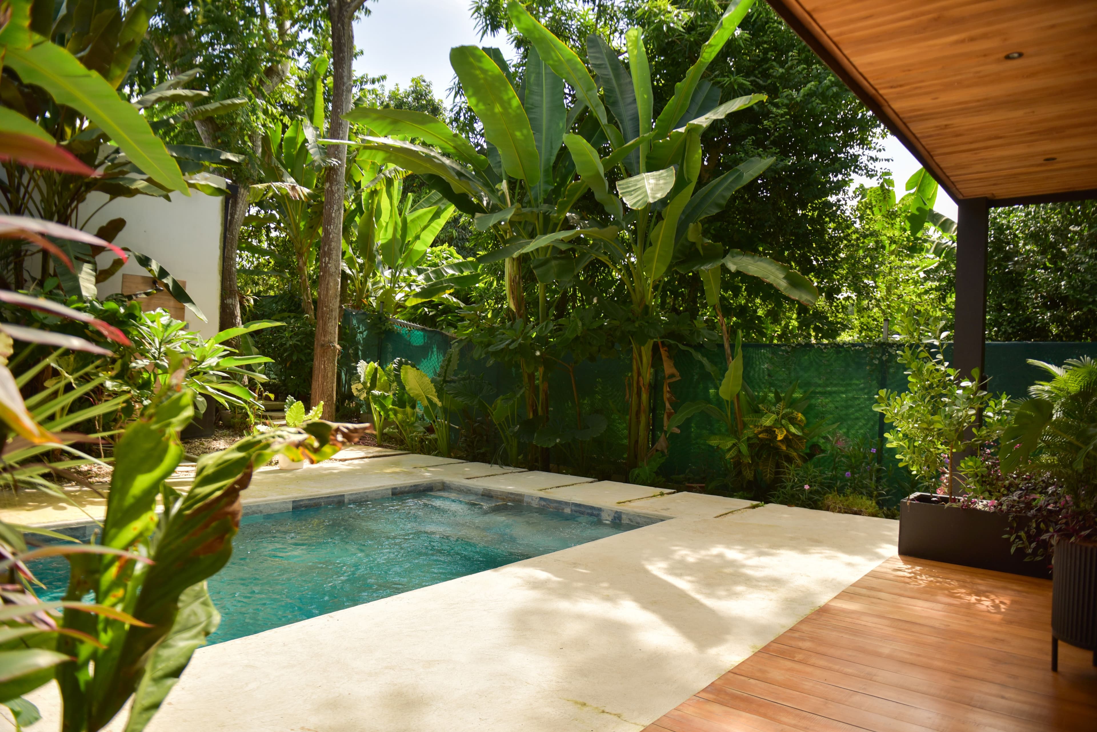 Shared swimming pool in front of Riu House