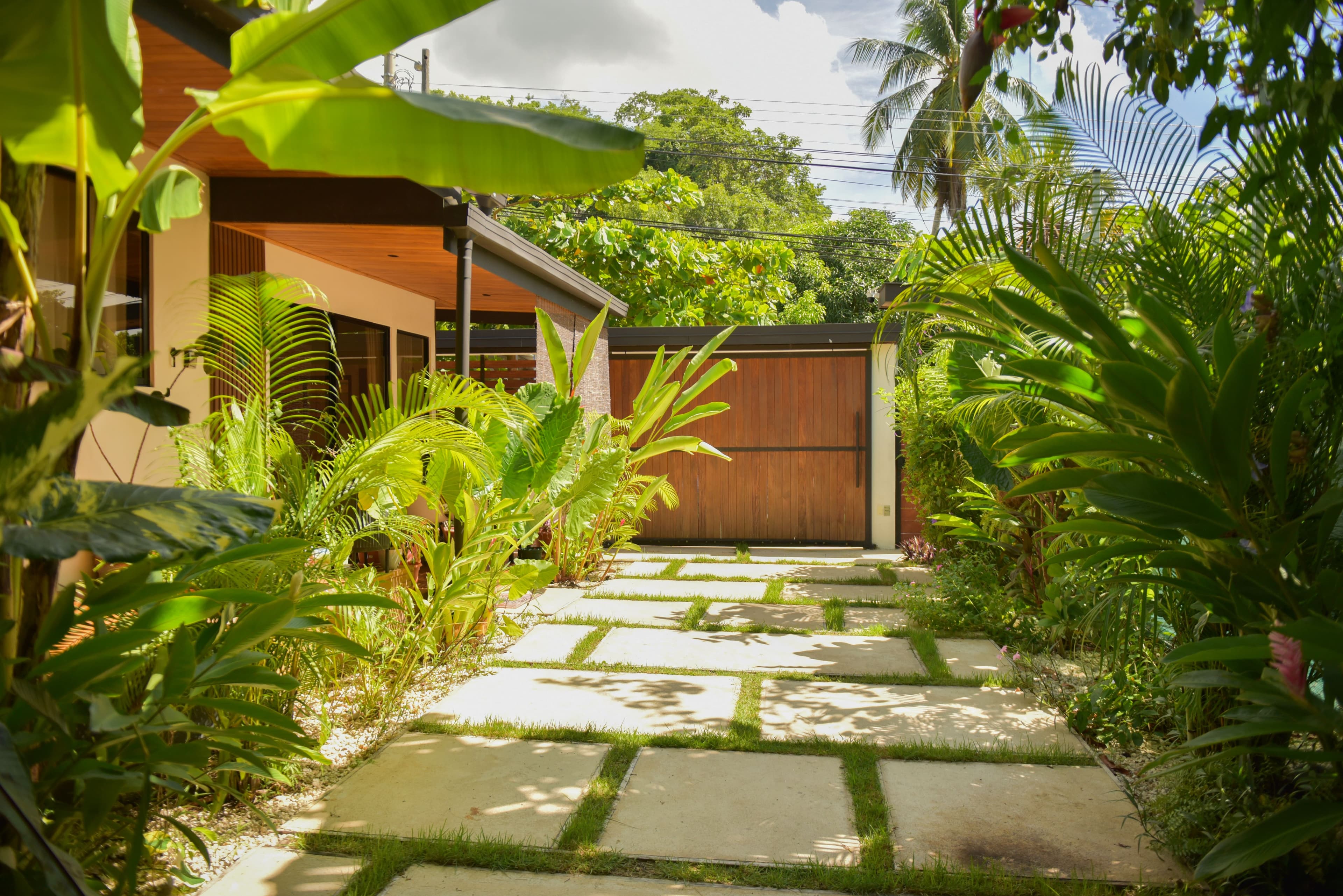 Arrival view of Riu House through lush tropical foliage