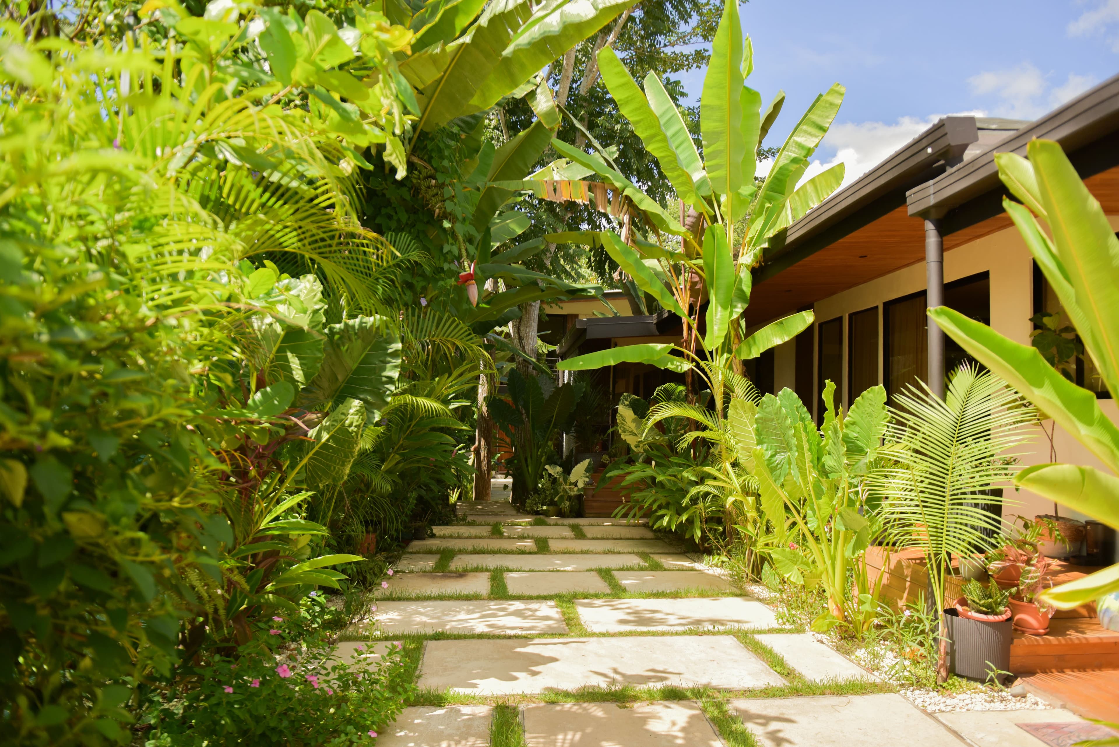 Front walkway and approach to Riu House