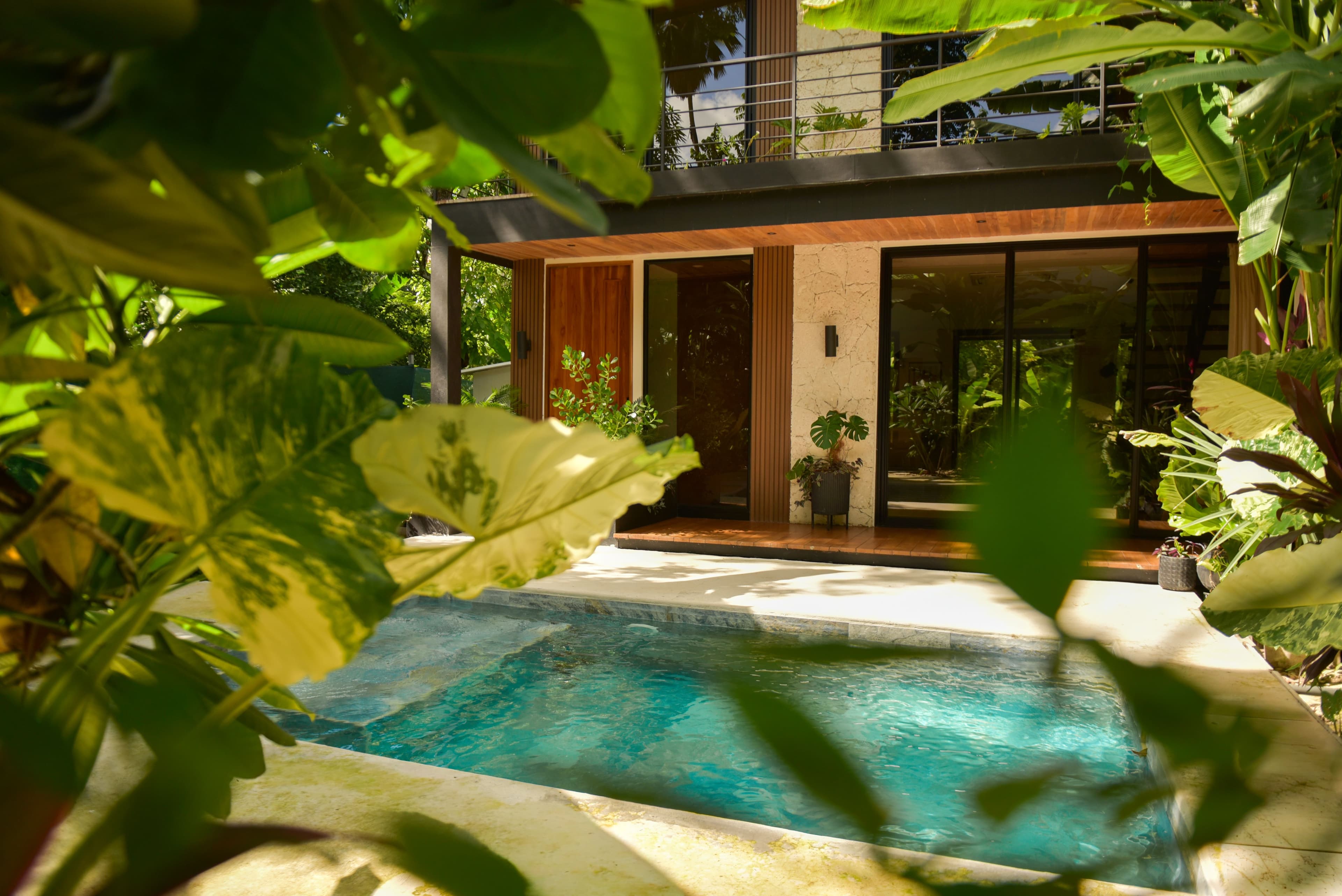 Swimming pool surrounded by tropical gardens