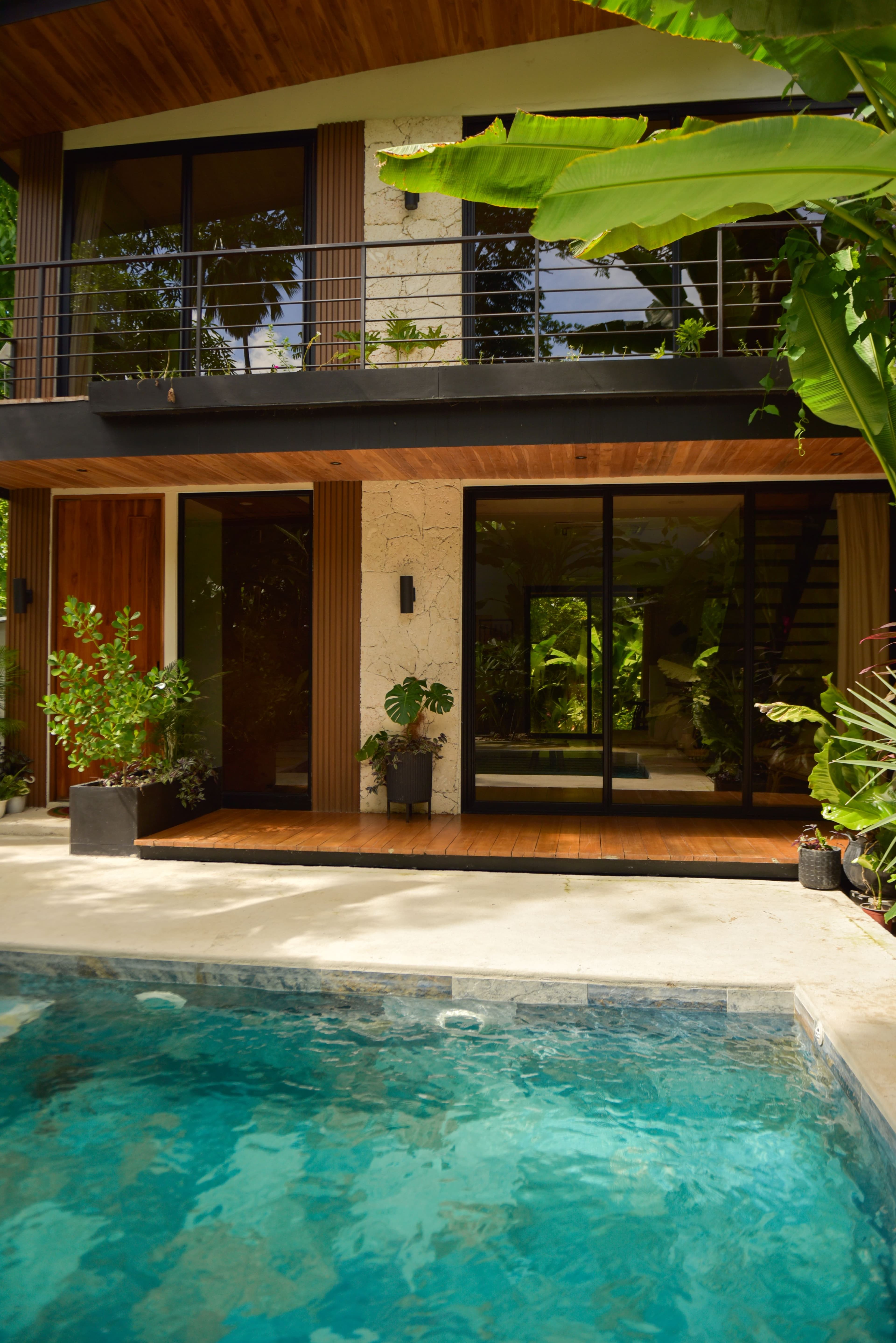 Poolside view with palm trees and tropical landscaping