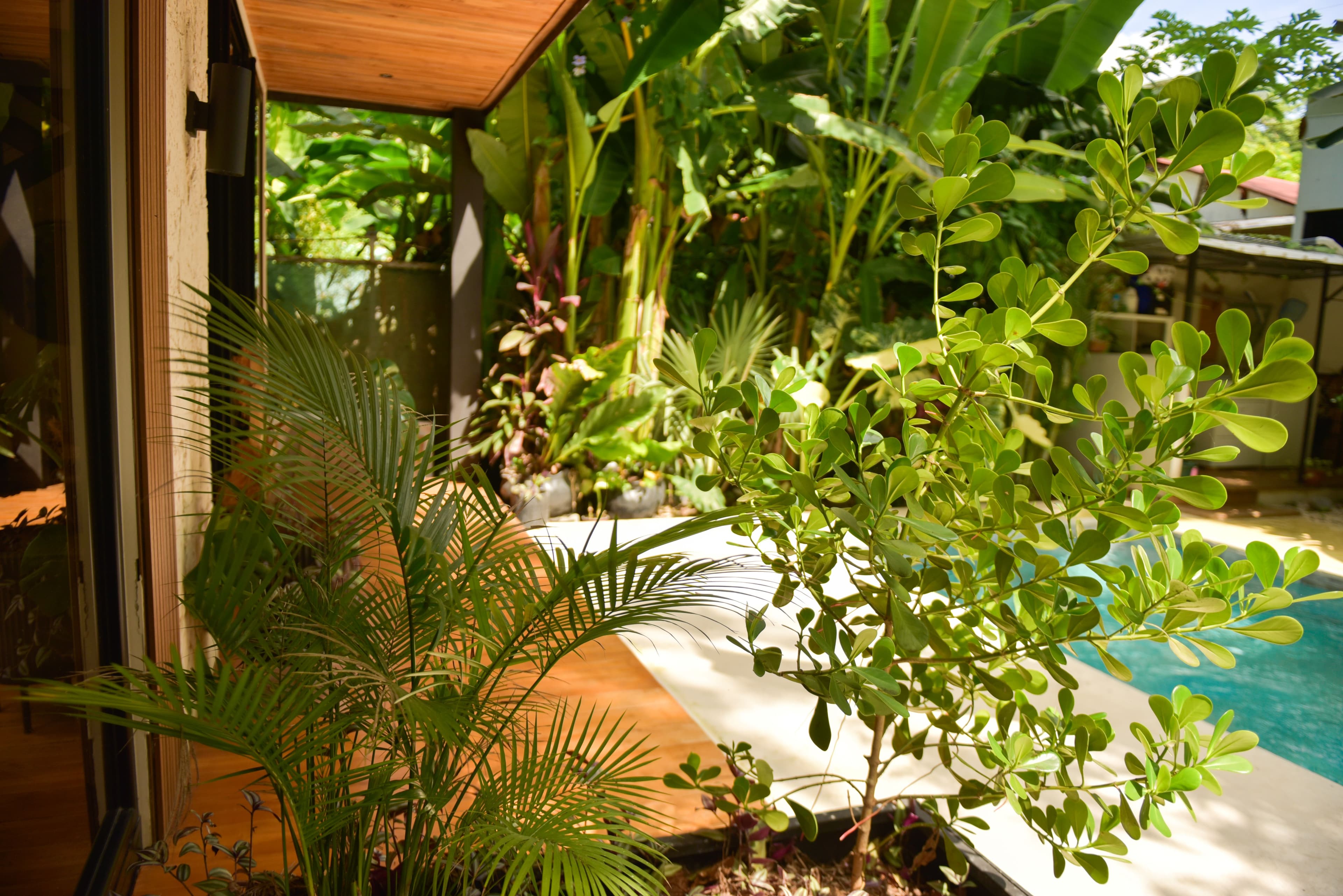 Living room seating area with tropical views