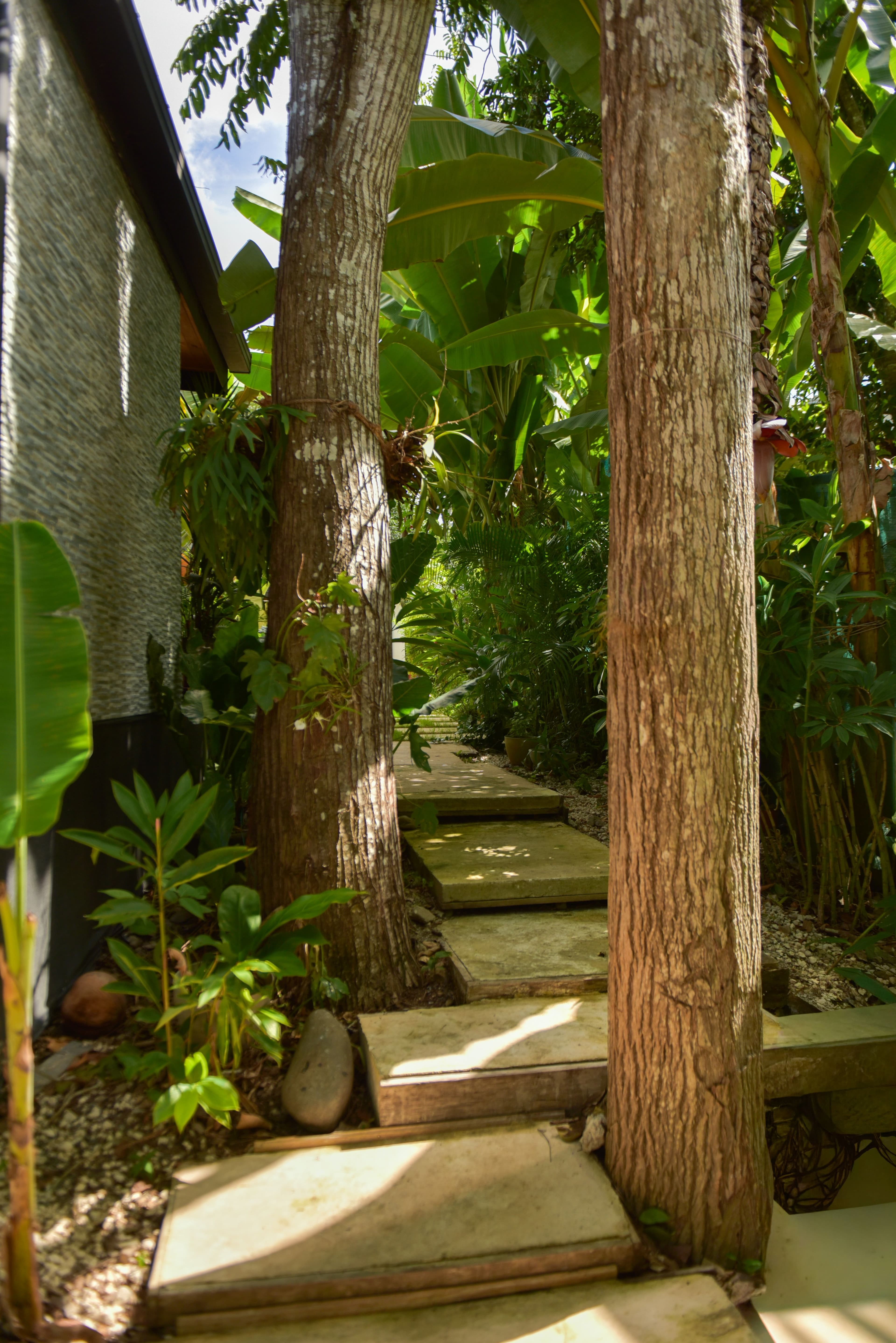 Landscaped garden walkway leading to Riu House
